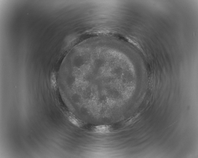 X0000067840335200605041656