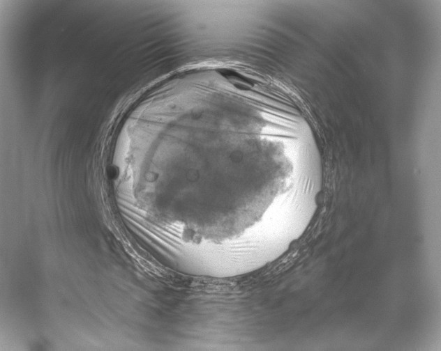 X0000067840337200605041655