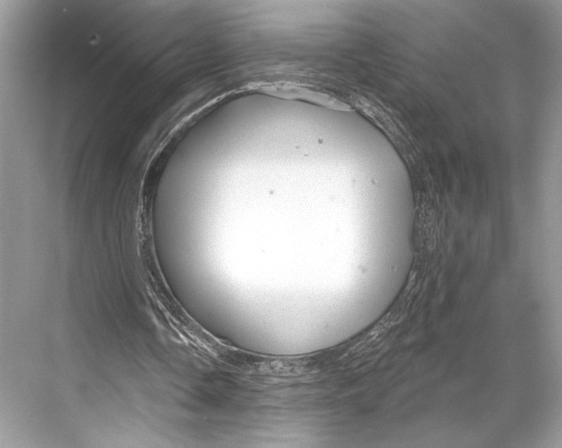 X0000067840338200605041655