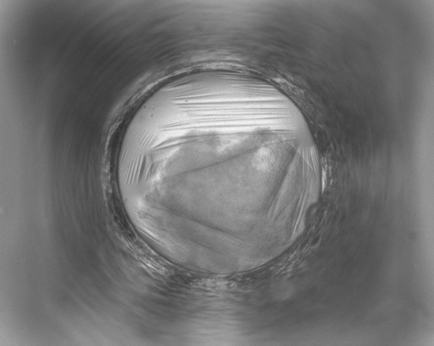 X0000067840339200605041655