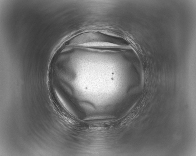 X0000067840340200605041655