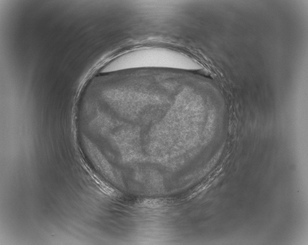 X0000067840341200605041655