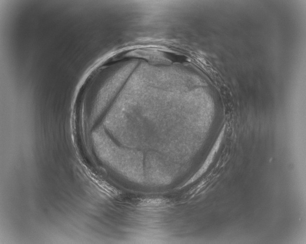 X0000067840342200605041655