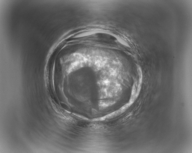 X0000067840343200605041655