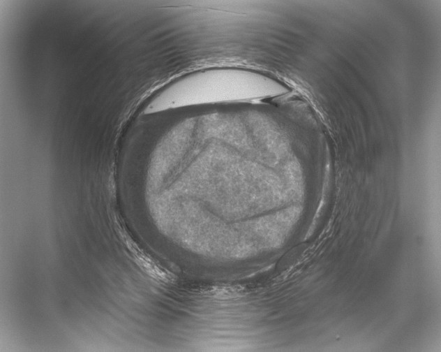 X0000067840345200605041655