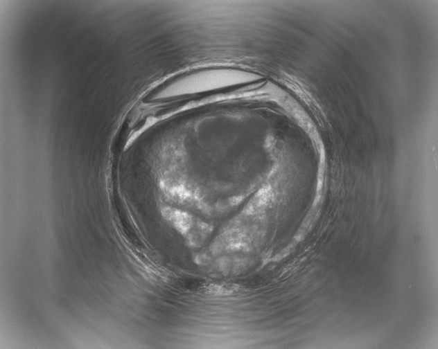 X0000067840346200605041655