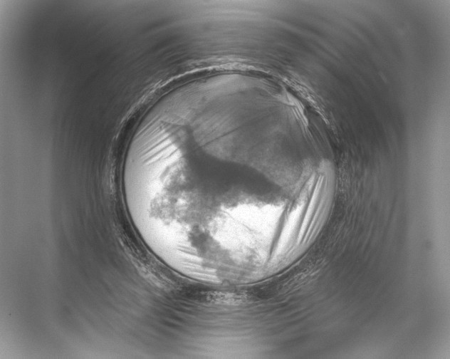 X0000067840347200605041655