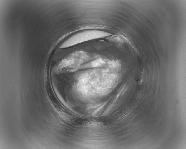 X0000067840348200605041655