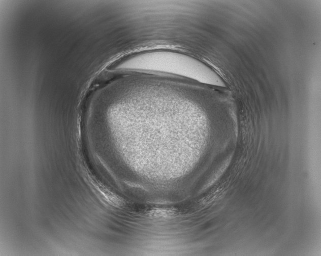 X0000067840350200605041655