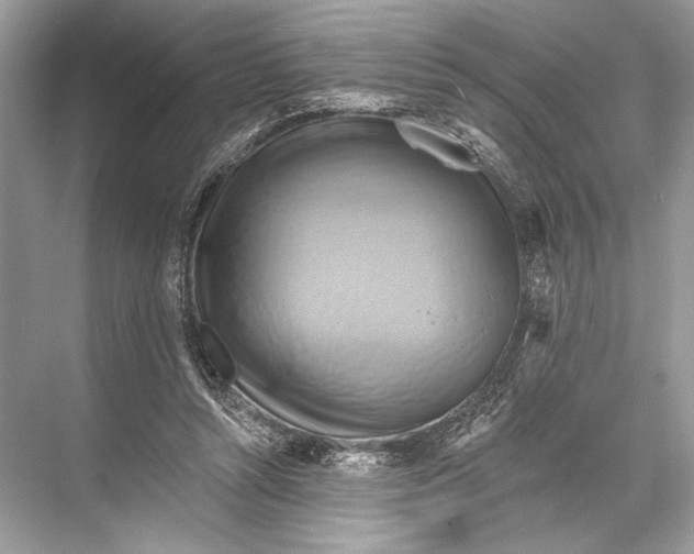 X0000067840352200605041655