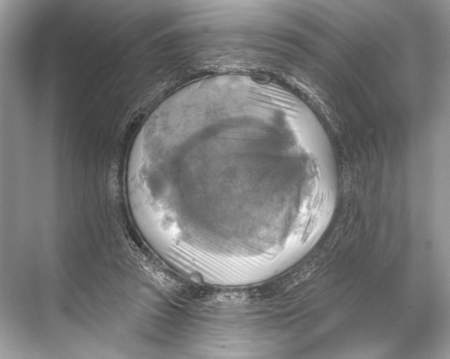 X0000067840353200605041655