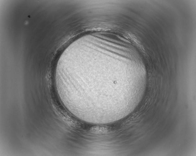 X0000067840354200605041655