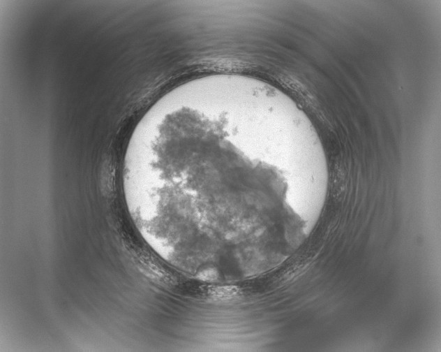 X0000067840355200605041655