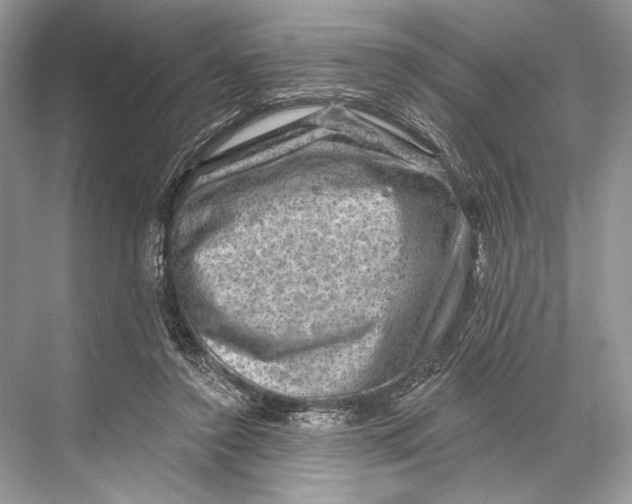 X0000067840356200605041655