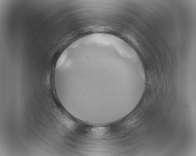 X0000067840357200605041655