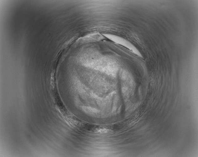 X0000067840360200605041655