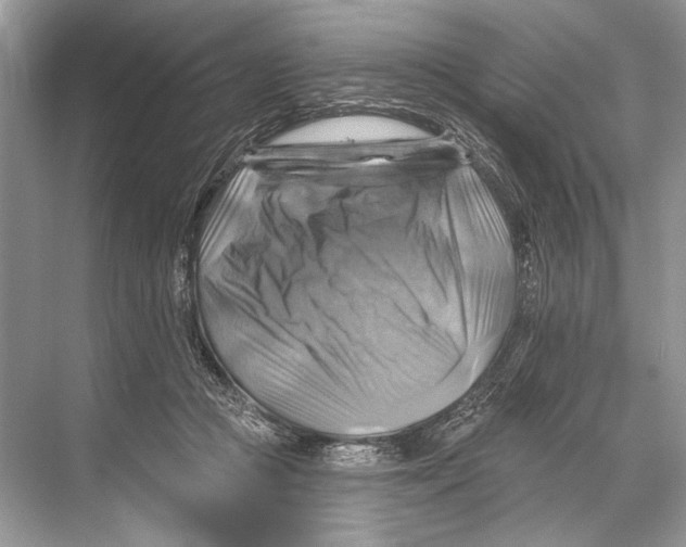 X0000067840361200605041655