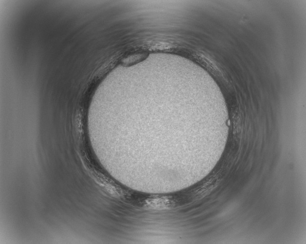 X0000067840362200605041655