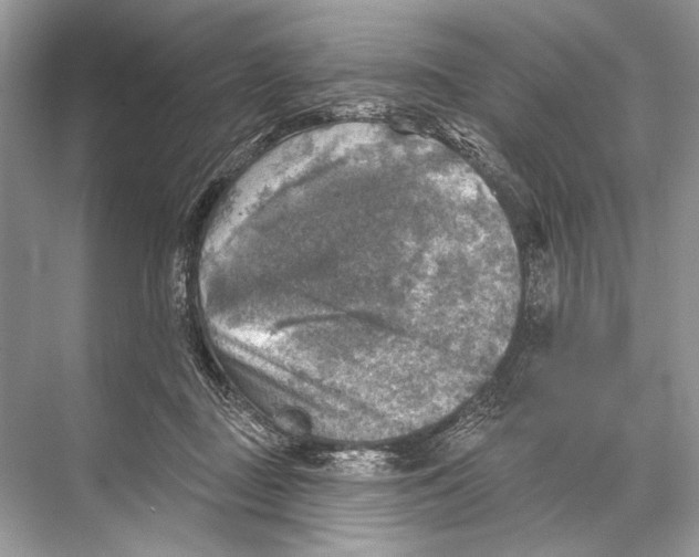 X0000067840363200605041655