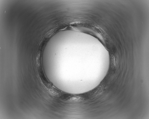 X0000067840364200605041655