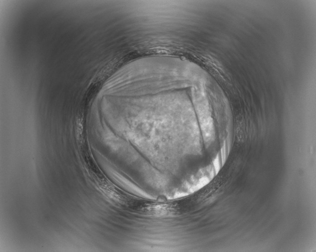 X0000067840365200605041655