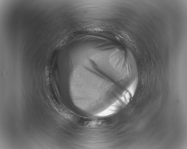 X0000067840366200605041655