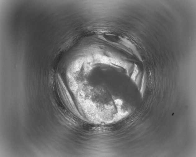 X0000067840367200605041655