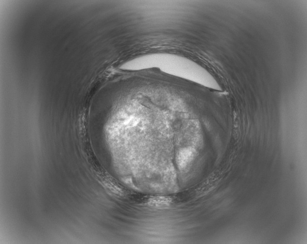 X0000067840369200605041655