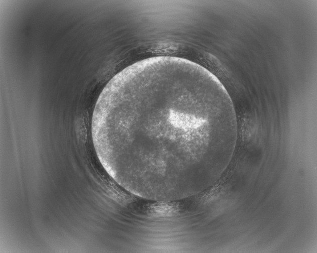 X0000067840370200605041655