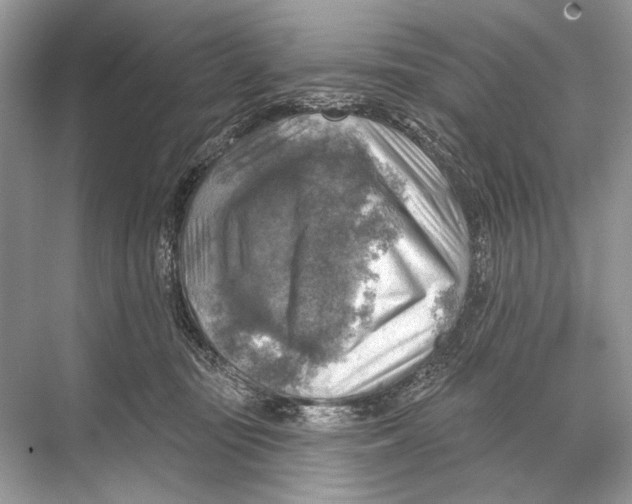 X0000067840371200605041655