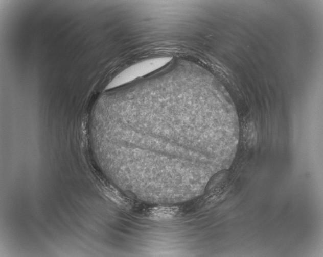 X0000067840373200605041655