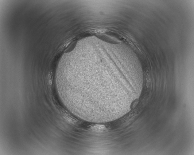 X0000067840374200605041655