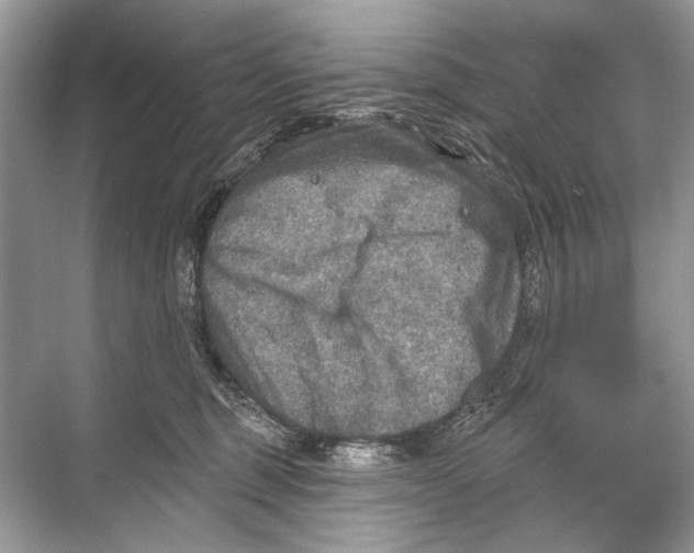 X0000067840375200605041655