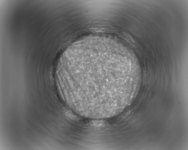 X0000067840377200605041655