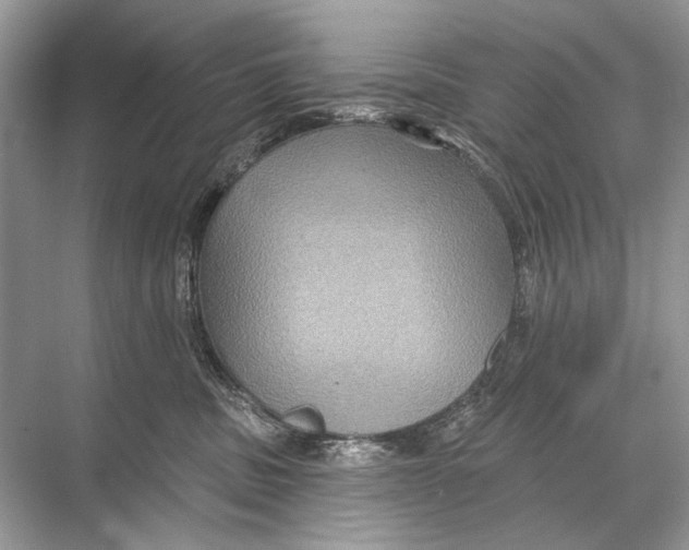 X0000067840379200605041655