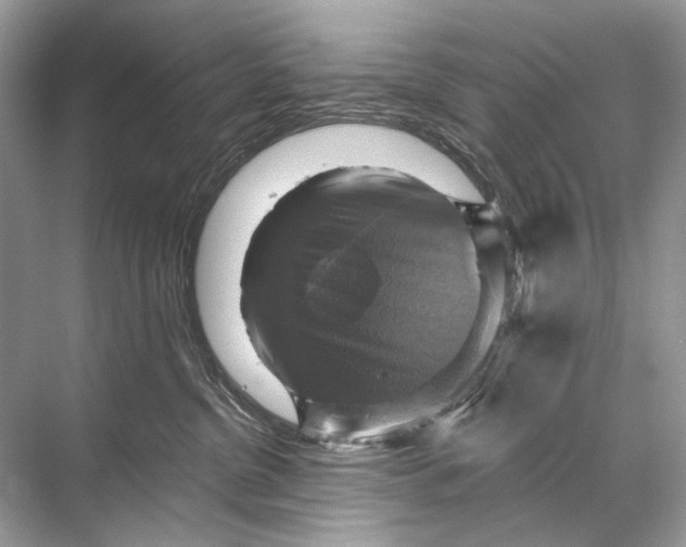 X0000067840380200605041656