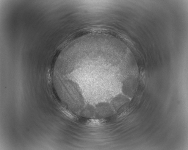 X0000067840381200605041656