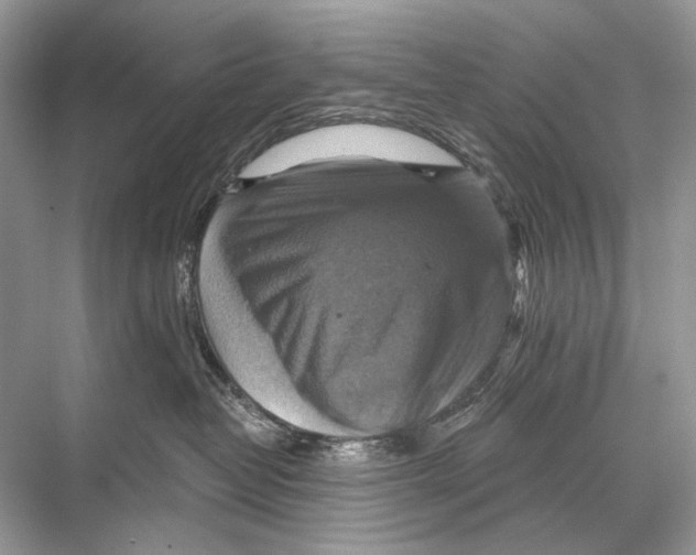 X0000067840382200605041656