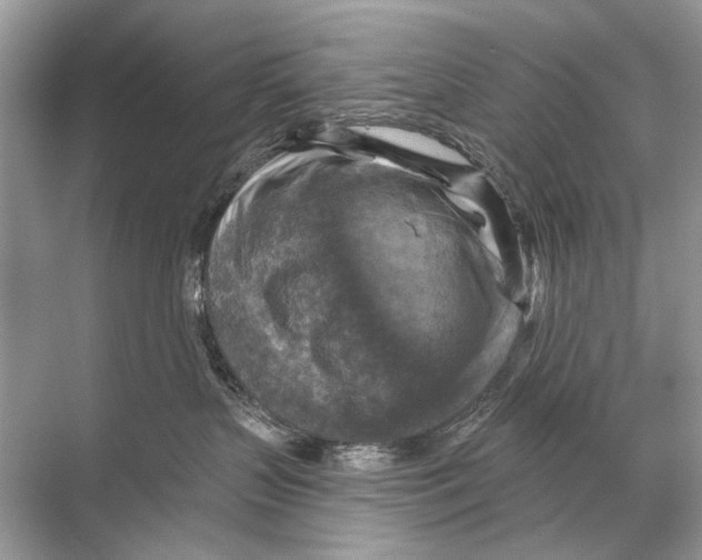 X0000067840383200605041656