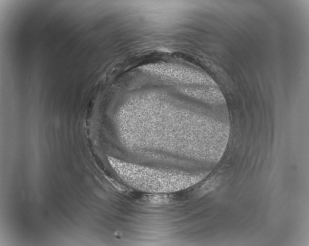 X0000067840384200605041656