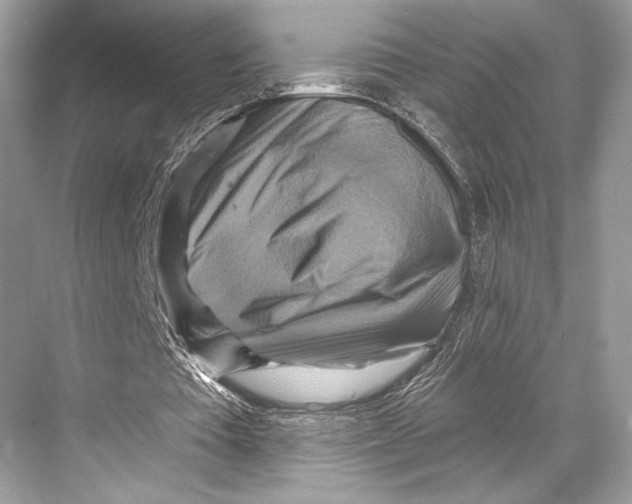 X0000067840385200605041655