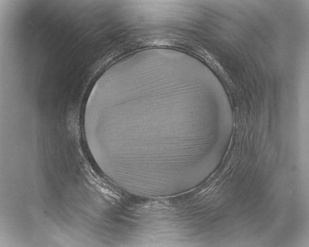 X0000067840386200605041655