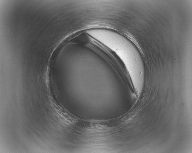 X0000067840387200605041655