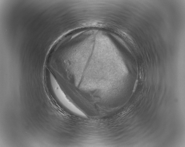 X0000067840388200605041655