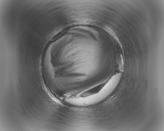 X0000067840389200605041655