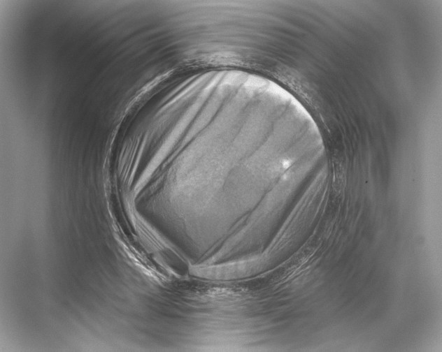 X0000067840390200605041655