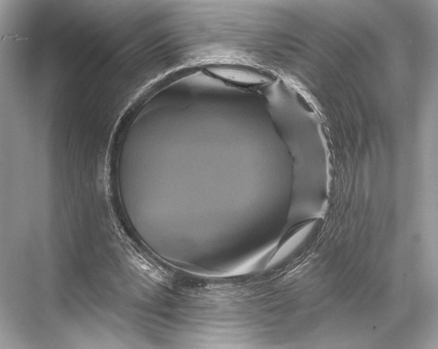 X0000067840391200605041655