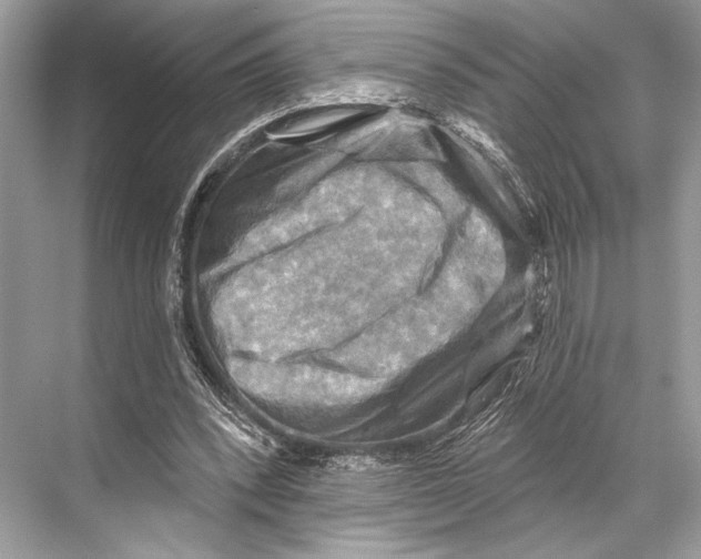 X0000067840392200605041655