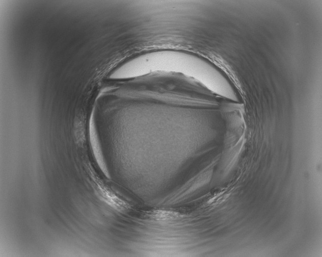 X0000067840393200605041655