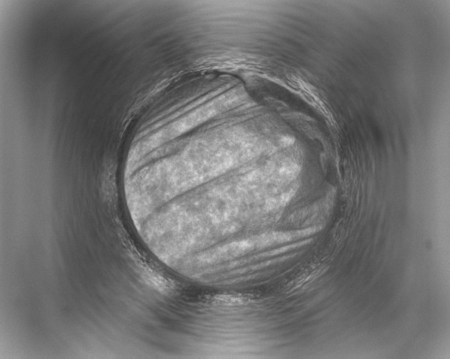 X0000067840394200605041655